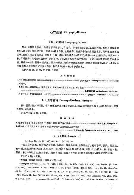 《东北草本植物志(第三卷)》.pdf电子版_其他志预览图4