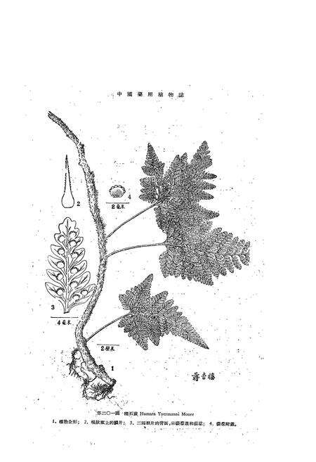 《中国药用植物志(第五册)》.pdf电子版_其他志预览图3