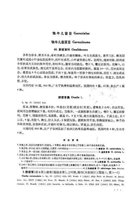 《东北草本植物志(第六卷)》.pdf电子版_其他志预览图4