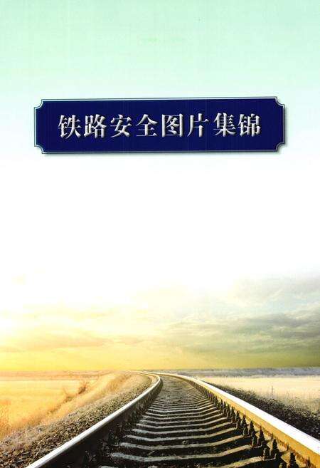《中国铁路安全志(1876-2011)》.pdf电子版_其他志预览图4