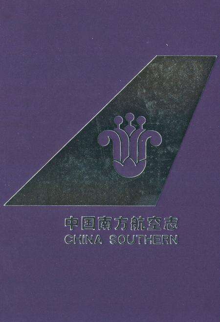 《中国南方航空志·第五卷》.pdf电子版_其他志缩略图