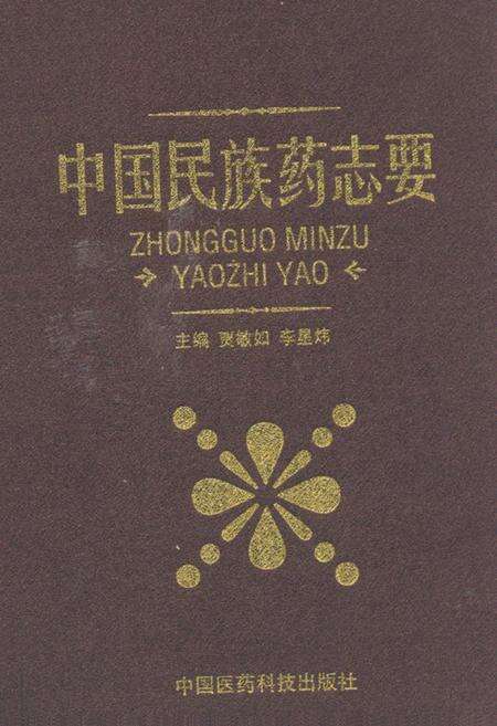 《中国民族药志要》.pdf电子版_其他志缩略图