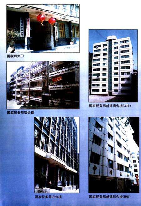 《国家税务志》.pdf电子版_其他志预览图4