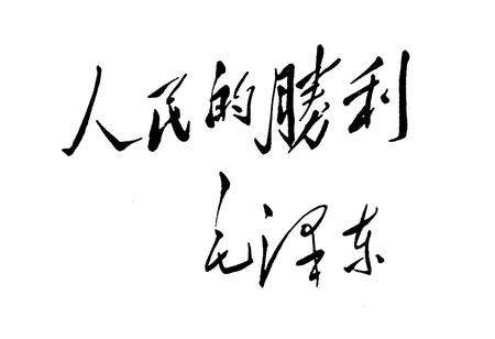 《东北解放战争图志》.pdf电子版_其他志预览图2