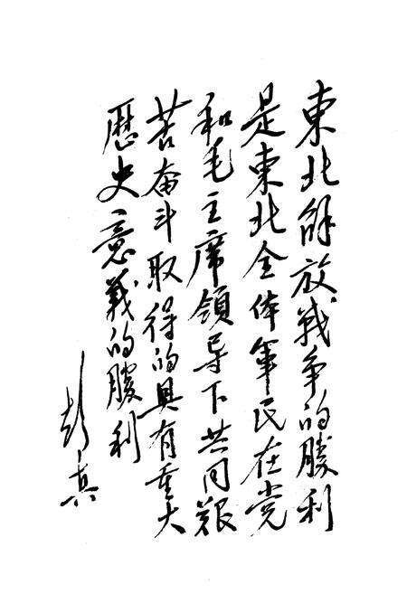 《东北解放战争图志》.pdf电子版_其他志预览图3