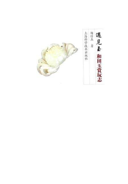 《遇见玉_和田玉赏玩志》.pdf电子版_其他志预览图2
