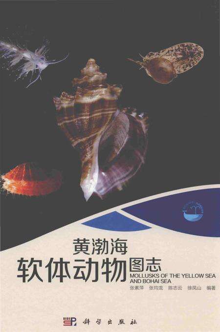 《黄渤海软体动物图志》.pdf电子版_其他志缩略图