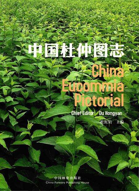 《中国杜仲图志》.pdf电子版_其他志缩略图