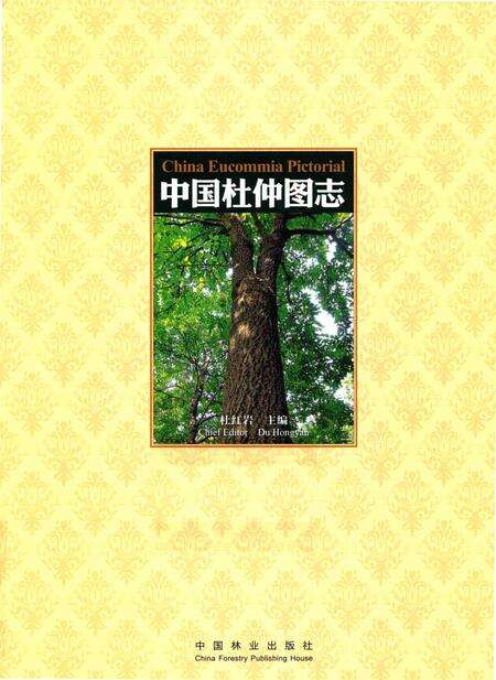 《中国杜仲图志》.pdf电子版_其他志预览图1