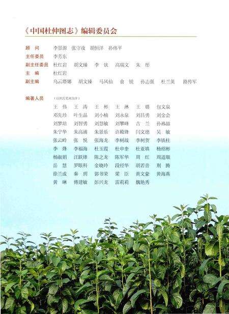 《中国杜仲图志》.pdf电子版_其他志预览图4