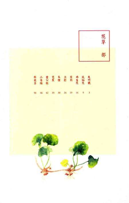 《花花果果枝枝蔓蔓：南方草木志》.pdf电子版_其他志预览图4