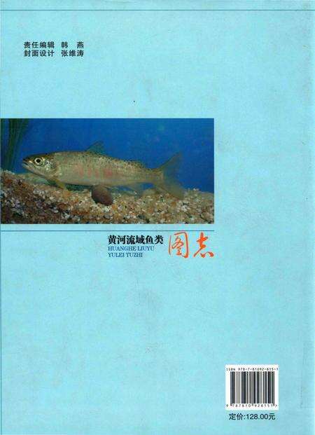 《黄河流域鱼类图志》.pdf电子版_其他志预览图2