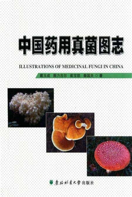 《中国药用真菌图志》.pdf电子版_其他志缩略图