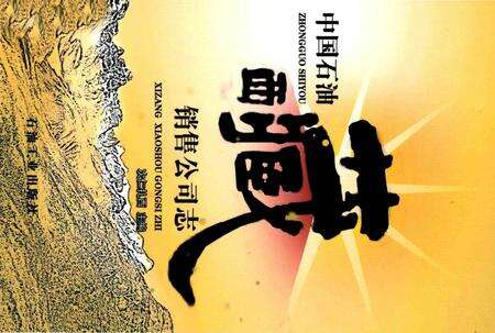 《中国石油西藏销售公司志》.pdf电子版_其他志缩略图