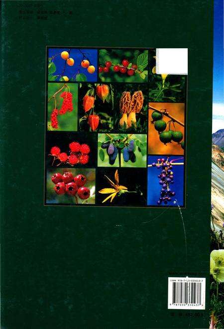 《中国长白山食用植物彩色图志》.pdf电子版_其他志预览图2