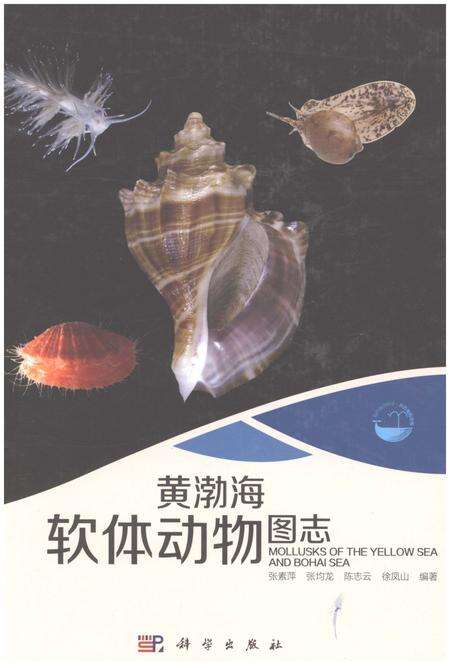 《黄渤海软体动物图志》.pdf电子版_其他志缩略图