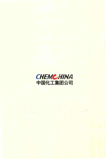 《中国化工集团公司志》.pdf电子版_其他志预览图2