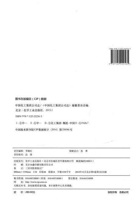 《中国化工集团公司志》.pdf电子版_其他志预览图4