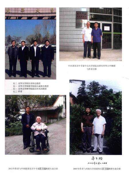 《中国天牛图志(基础篇)》.pdf电子版_其他志预览图4