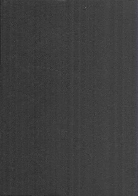 《中国动物志.昆虫纲.第61卷》.pdf电子版_其他志预览图3