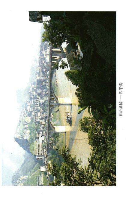 《中国少数民族自治地方概况》.pdf电子版_其他志预览图4