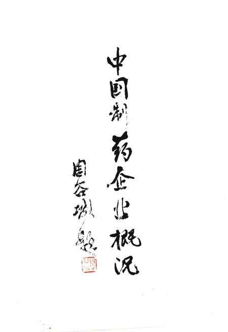 《中国制药企业概况》.pdf电子版_其他志预览图1