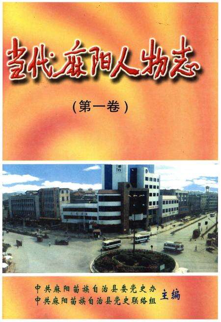 《当代麻阳人物志(第一卷)》.pdf电子版_其他志缩略图