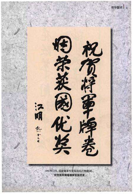 《将军集团志》.pdf电子版_其他志预览图4