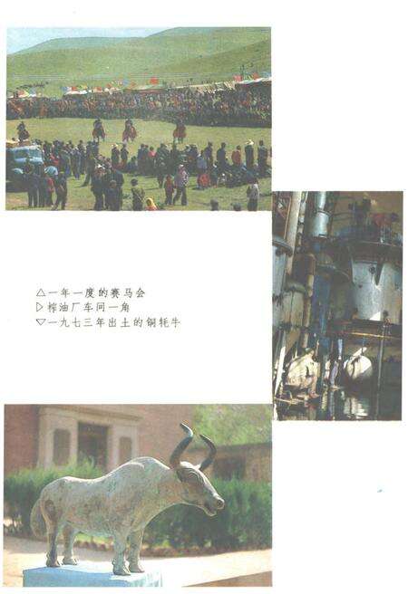 《中国少数民族自治地方概况丛书》.pdf电子版_其他志预览图5