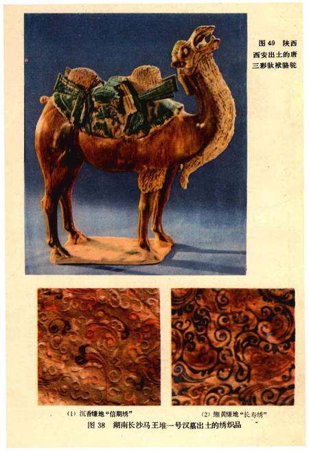 《中国古代科学技术大事记》.pdf电子版_其他志预览图4