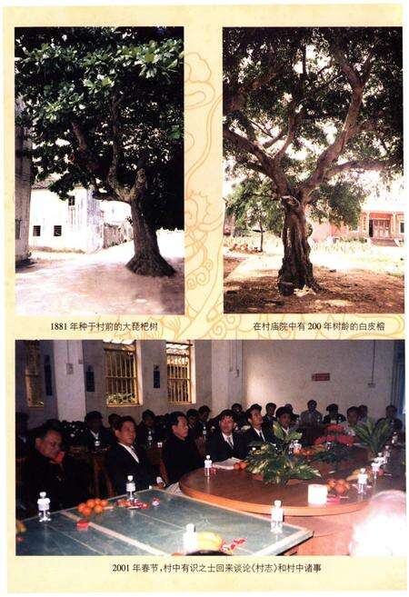 《傅桂村志》.pdf电子版_其他志预览图3