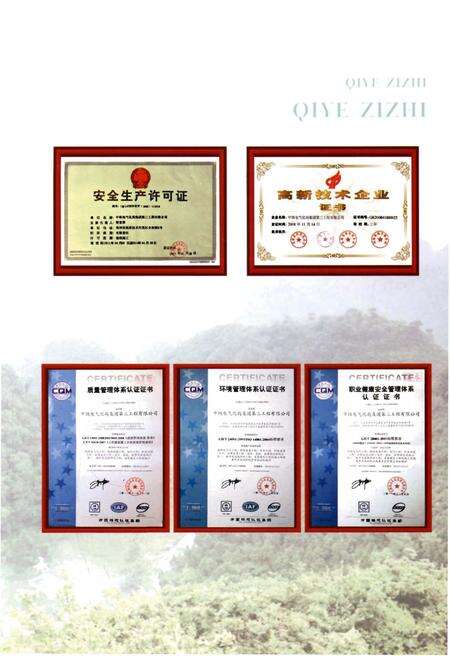 《中铁电气化局集团 第三工程有限公司志(1998-2008)》.pdf电子版_其他志预览图5