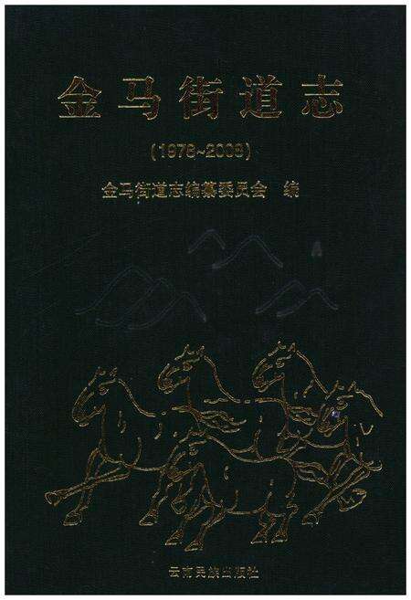 《金马街道志(1978～2008)》.pdf电子版_其他志缩略图