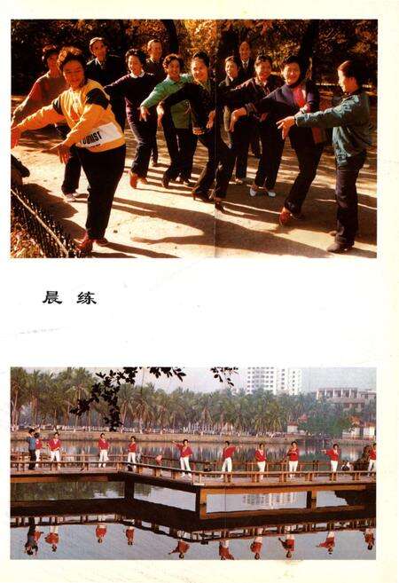 《中国老年百科全书 保健·医疗·强身 卷》.pdf电子版_其他志预览图3