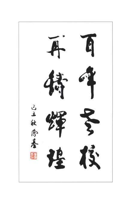 《鲁中职业学院十年发展志(2003-2013)》.pdf电子版_其他志预览图1