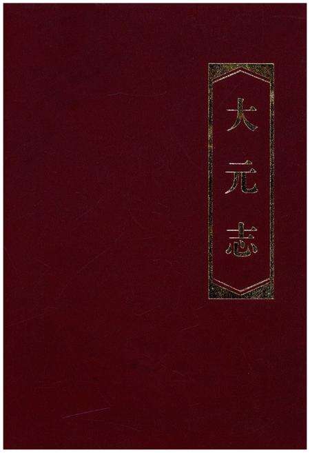 《大元志》.pdf电子版_其他志缩略图