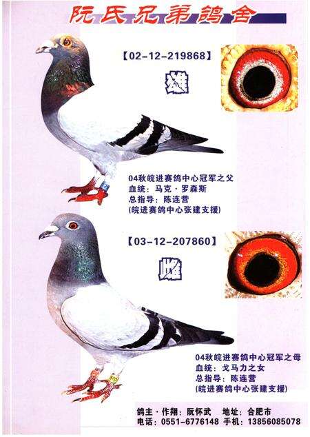 《铭鸽名人志》.pdf电子版_其他志预览图1