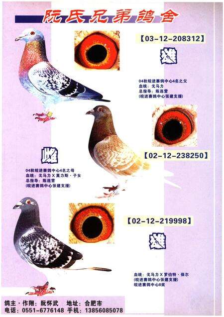 《铭鸽名人志》.pdf电子版_其他志预览图2