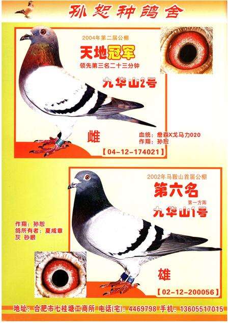 《铭鸽名人志》.pdf电子版_其他志预览图3