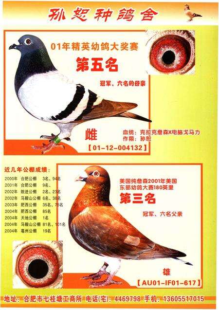 《铭鸽名人志》.pdf电子版_其他志预览图4