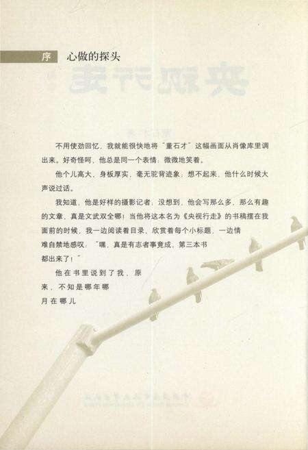 《央视行走》.pdf电子版_其他志预览图3