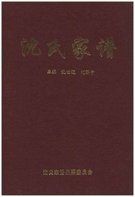《沈氏家谱》.pdf电子版_其他志缩略图