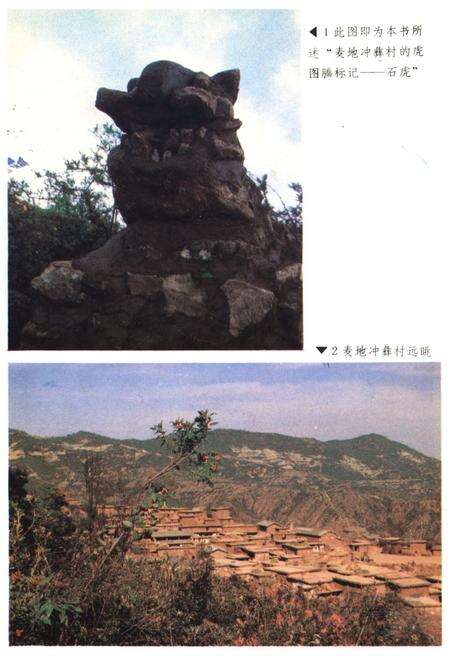 《中国彝族虎文化》.pdf电子版_其他志预览图3