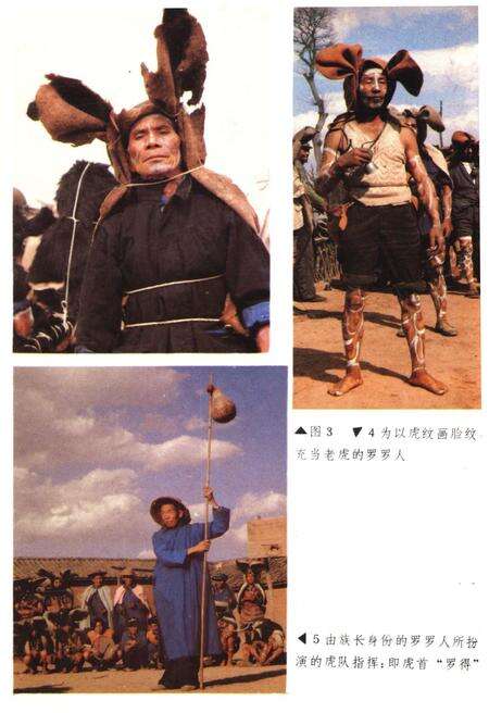 《中国彝族虎文化》.pdf电子版_其他志预览图4