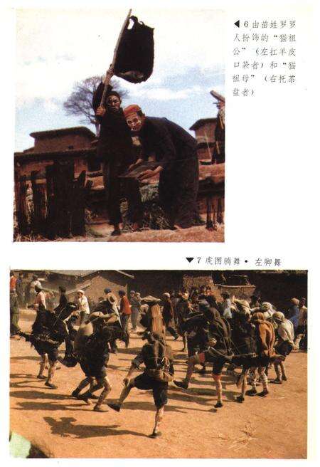 《中国彝族虎文化》.pdf电子版_其他志预览图5