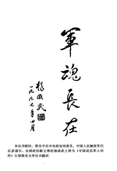 《中国退伍军人列传 第二辑》.pdf电子版_其他志预览图4