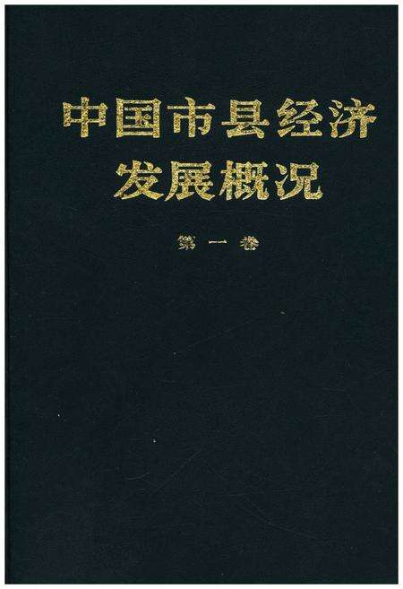 《中国市县经济发展概况 一》.pdf电子版_其他志缩略图