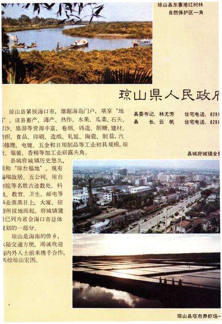 《中国市县经济发展概况 一》.pdf电子版_其他志预览图5