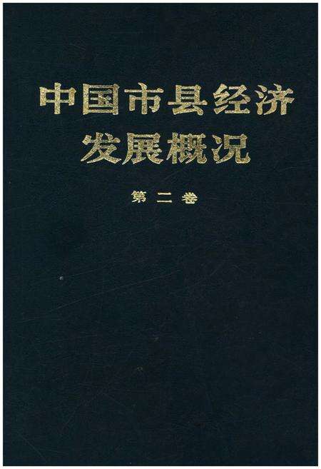 《中国市县经济发展概况 二》.pdf电子版_其他志缩略图