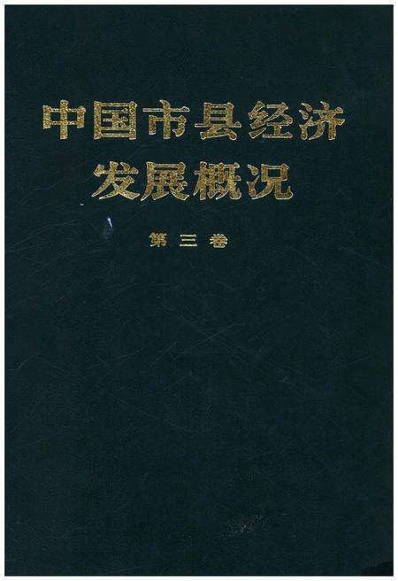 《中国市县经济发展概况 三》.pdf电子版_其他志缩略图